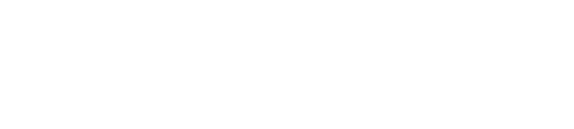 Institute  for Data Innovation and Artificial Intelligence